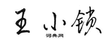 駱恆光王小鎖行書個性簽名怎么寫