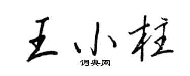 王正良王小柱行書個性簽名怎么寫