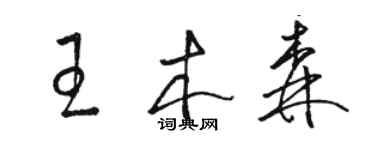 駱恆光王木森草書個性簽名怎么寫