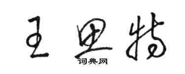 駱恆光王思特草書個性簽名怎么寫