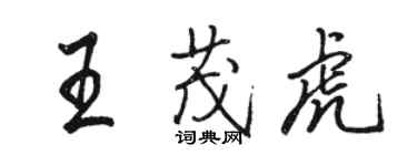 駱恆光王茂虎行書個性簽名怎么寫