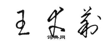 駱恆光王幸莉草書個性簽名怎么寫