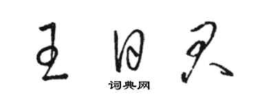 駱恆光王日君草書個性簽名怎么寫