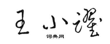 駱恆光王小躍草書個性簽名怎么寫