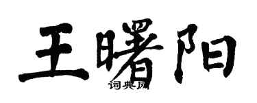 翁闓運王曙陽楷書個性簽名怎么寫