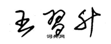 朱錫榮王習升草書個性簽名怎么寫