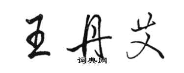 駱恆光王丹艾行書個性簽名怎么寫