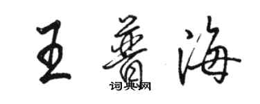 駱恆光王普海行書個性簽名怎么寫