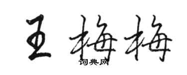 駱恆光王梅梅行書個性簽名怎么寫