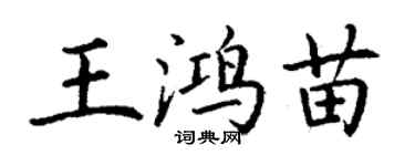 丁謙王鴻苗楷書個性簽名怎么寫