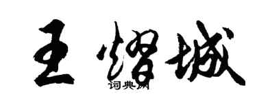 胡問遂王熠城行書個性簽名怎么寫