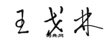 駱恆光王戈林草書個性簽名怎么寫