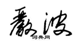 朱錫榮嚴波草書個性簽名怎么寫