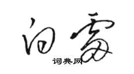 駱恆光白雷草書個性簽名怎么寫