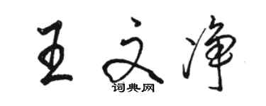 駱恆光王文淨行書個性簽名怎么寫