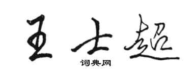 駱恆光王士超行書個性簽名怎么寫