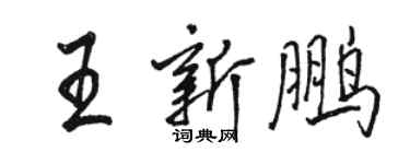 駱恆光王新鵬行書個性簽名怎么寫