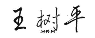 駱恆光王樹平行書個性簽名怎么寫