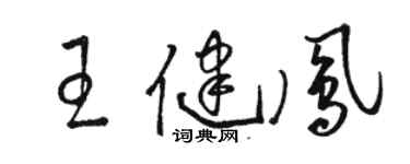 駱恆光王健鳳草書個性簽名怎么寫