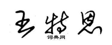 朱錫榮王特恩草書個性簽名怎么寫