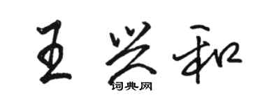 駱恆光王興和行書個性簽名怎么寫