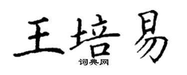 丁謙王培易楷書個性簽名怎么寫