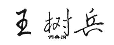 駱恆光王樹兵行書個性簽名怎么寫