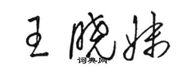 駱恆光王曉妹草書個性簽名怎么寫