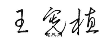 駱恆光王憲植草書個性簽名怎么寫