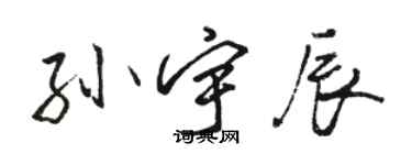 駱恆光孫宇辰行書個性簽名怎么寫