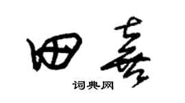朱錫榮田喜草書個性簽名怎么寫