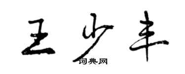 曾慶福王少豐行書個性簽名怎么寫