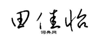 梁錦英田佳怡草書個性簽名怎么寫