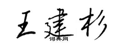 王正良王建杉行書個性簽名怎么寫