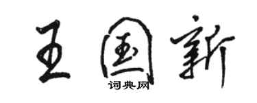 駱恆光王國新行書個性簽名怎么寫