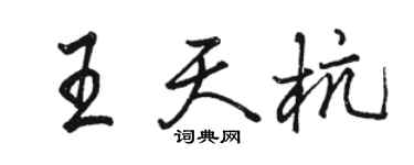 駱恆光王天杭行書個性簽名怎么寫