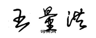 朱錫榮王量洪草書個性簽名怎么寫