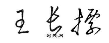 駱恆光王長標草書個性簽名怎么寫