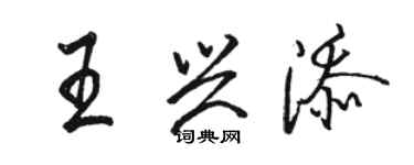 駱恆光王興添行書個性簽名怎么寫