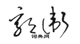 駱恆光郭衛草書個性簽名怎么寫