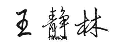 駱恆光王靜林行書個性簽名怎么寫