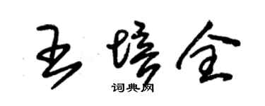 朱錫榮王培全草書個性簽名怎么寫