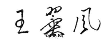 駱恆光王翼風草書個性簽名怎么寫