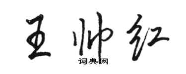 駱恆光王帥紅行書個性簽名怎么寫