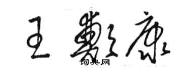 駱恆光王鄭康草書個性簽名怎么寫