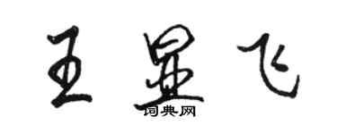 駱恆光王顯飛行書個性簽名怎么寫