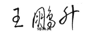 駱恆光王鵬升草書個性簽名怎么寫