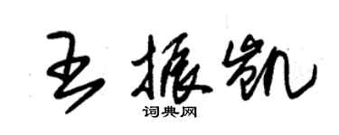 朱錫榮王振凱草書個性簽名怎么寫