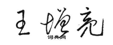 駱恆光王增亮草書個性簽名怎么寫