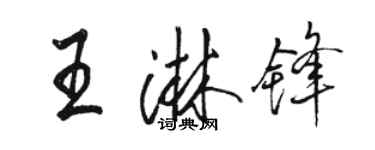 駱恆光王淋鋒行書個性簽名怎么寫